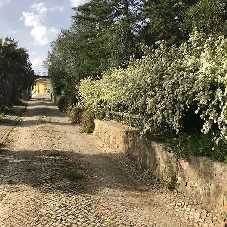 Quinta Dos Canais Σετούμπαλ Εξωτερικό φωτογραφία