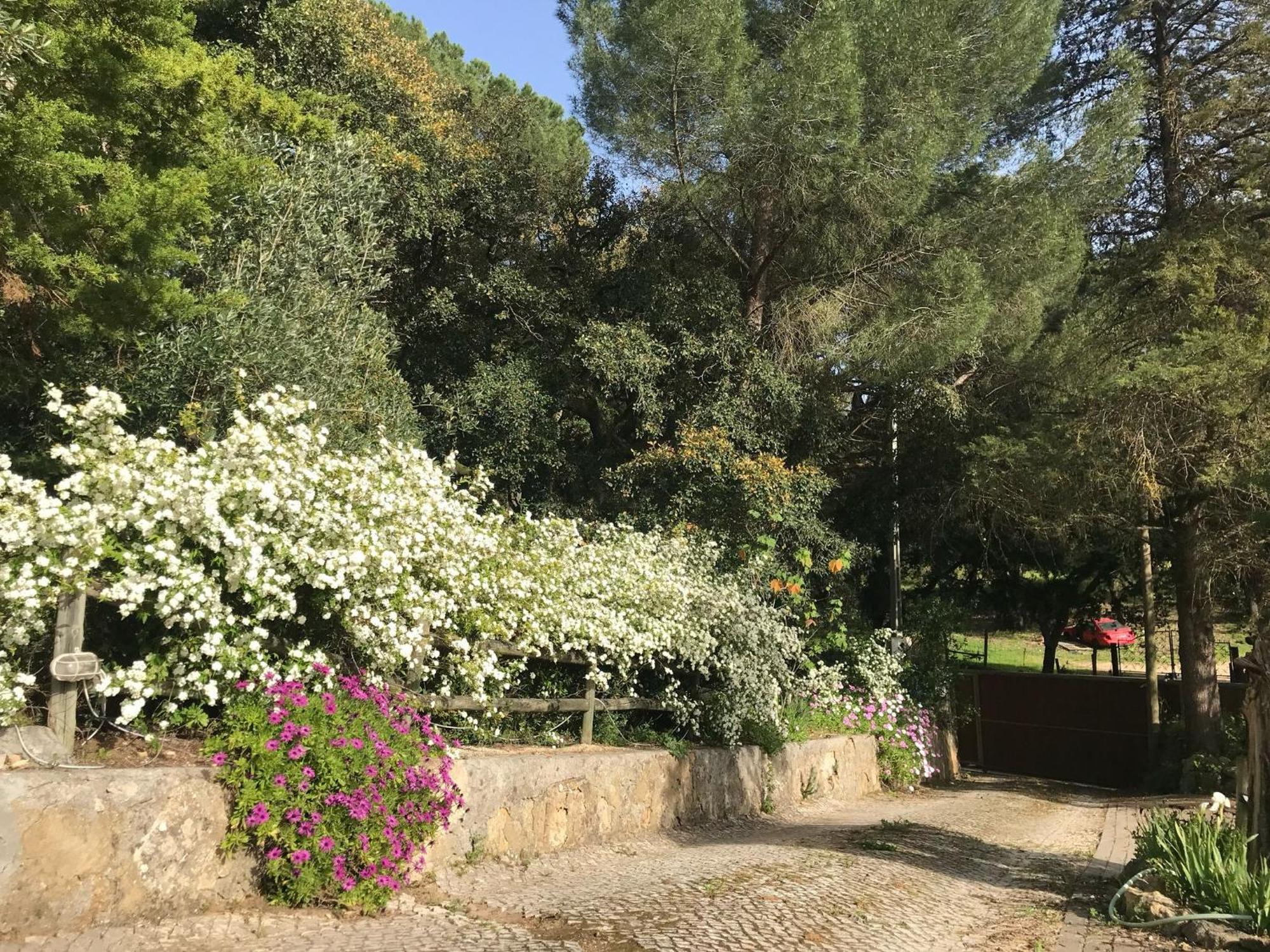 Quinta Dos Canais Σετούμπαλ Εξωτερικό φωτογραφία
