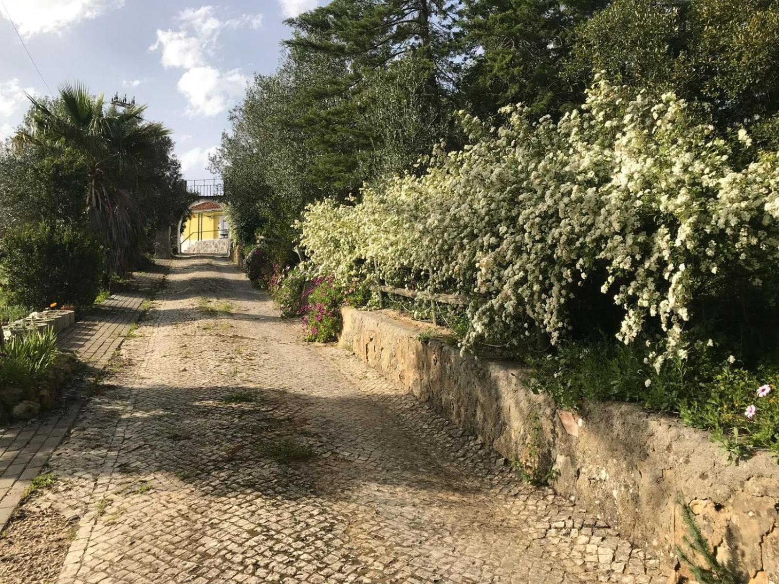 Quinta Dos Canais Σετούμπαλ Εξωτερικό φωτογραφία