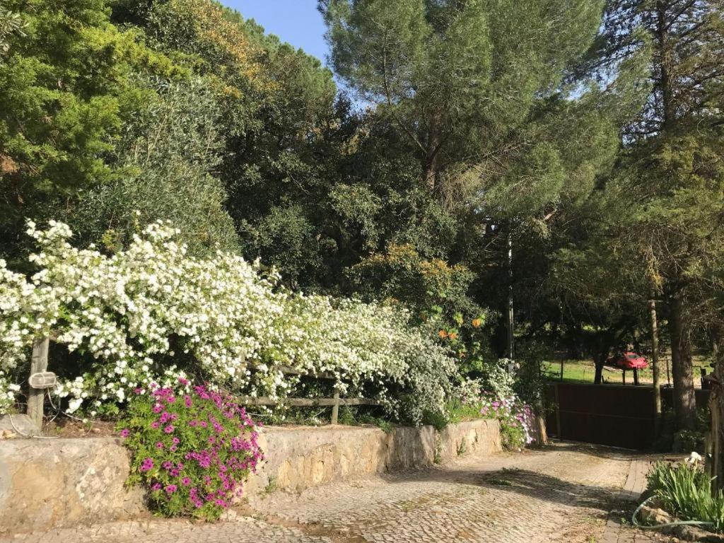 Quinta Dos Canais Σετούμπαλ Εξωτερικό φωτογραφία