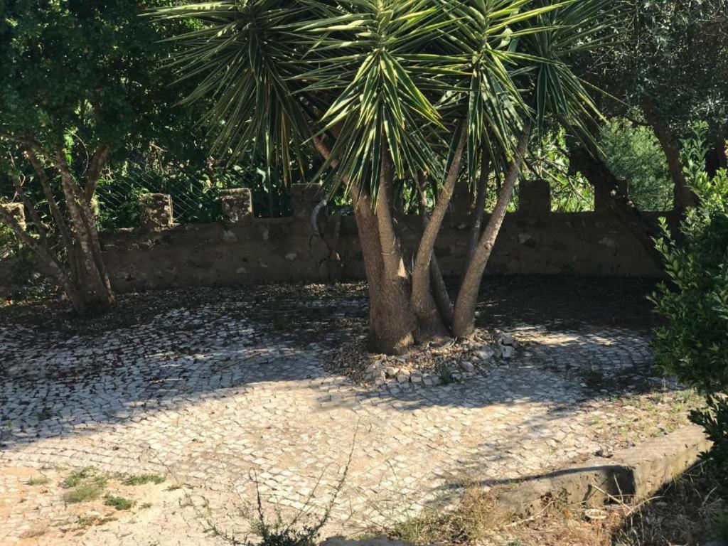 Quinta Dos Canais Σετούμπαλ Εξωτερικό φωτογραφία